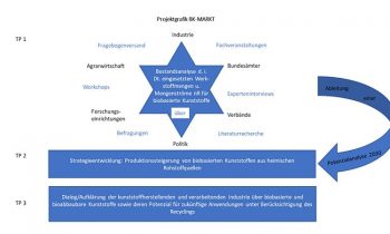 Projektstruktur des Projekt »BK-Markt« (Grafik: IKK).