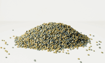 Die Wissensbasis Kunststoffe verbindet theoretische Grundlagen und Praxiswissen mit dem Ziel, Unternehmen bei der nachhaltigen Umstellung ihrer Prozesse zu unterstützen (Bild: K. Starodubskij/HSBI).